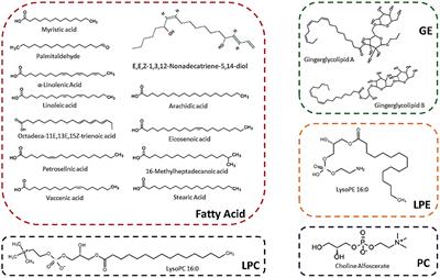 A high-throughput lipidomics and transcriptomic approach reveals novel compounds from sugarcane linked with promising therapeutic potential against COVID-19